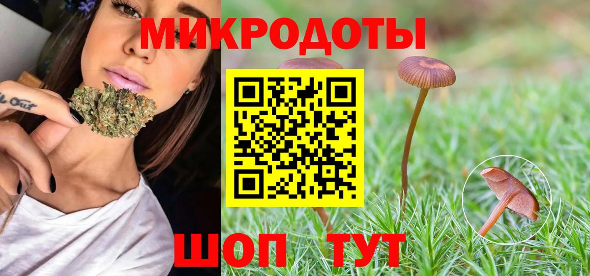 Галлюциногенные грибы Psilocybe Жигулёвск