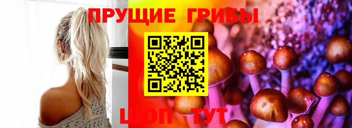 Жигулёвск  Галлюциногенные грибы мицелий  Вход с VPN 